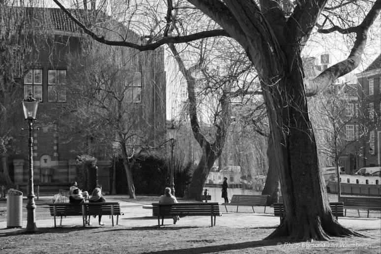 Parkje plantage - Amsterdam 