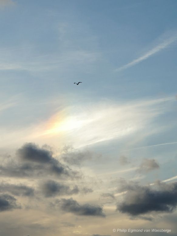 Helion wijk aan Zee 