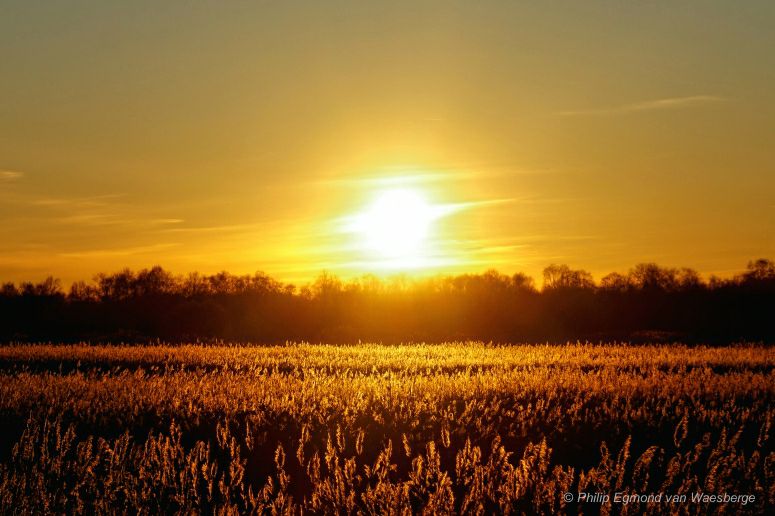 Natuurreservaat de Botshol