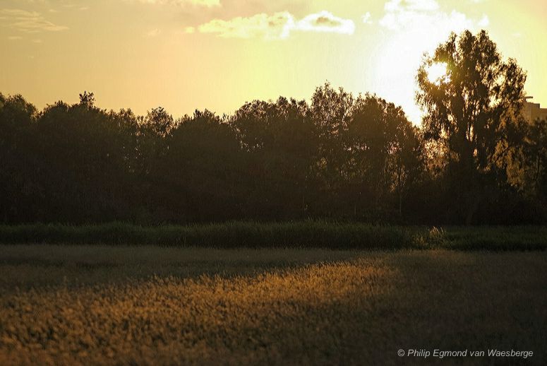 Middelpolder late avond - Amstelveen