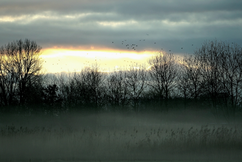 Nevel ondergaande zon - Middelpolder Amstelveen