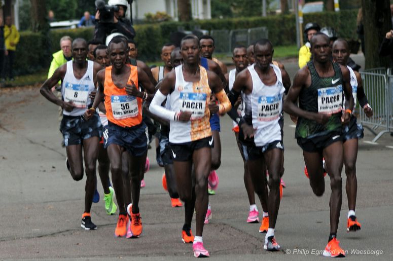 Marathon Amsterdam kopgroep met hazen